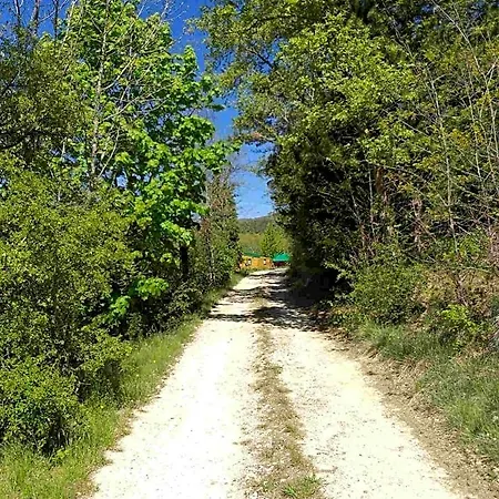Les De Saint Maurice